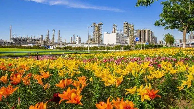 成都复合材料与普通材料：性能差异与选择要点