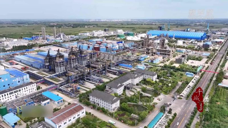 防腐剂批量定制加工流程解析